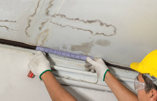 Reliable Water Damage contractor in Ivanhoe, TX by Water Damage Irwin